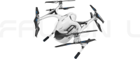 FALCON L