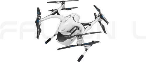 FALCON L