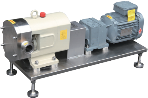 High Standard Sanitary Rotor Pump