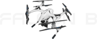 FALCON B