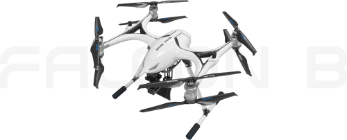 FALCON B